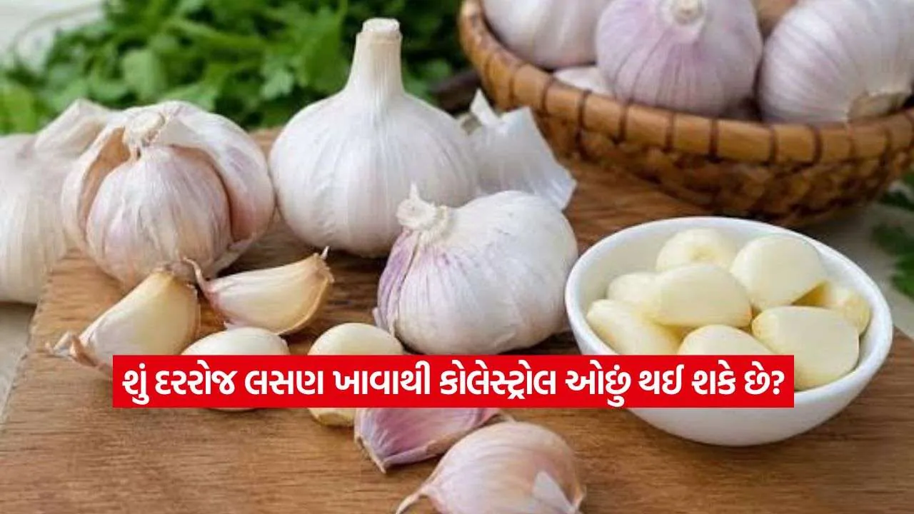 garlic2.jpg