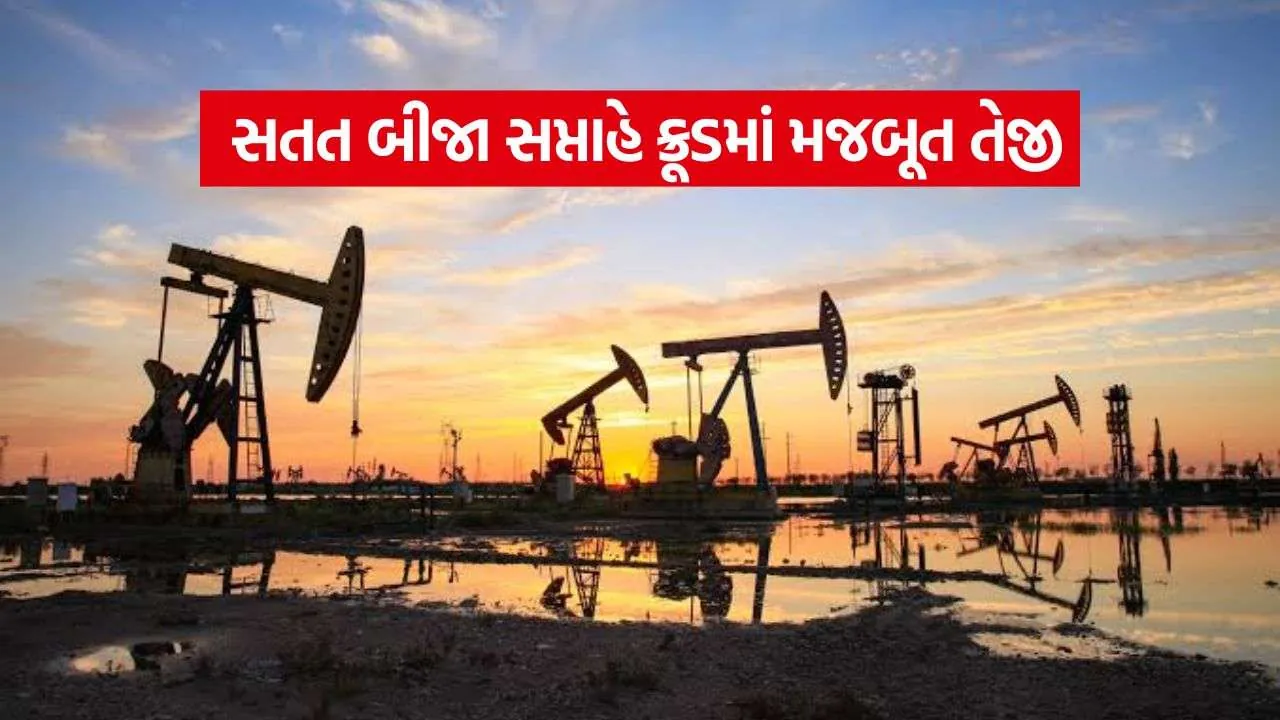 Crude Oil