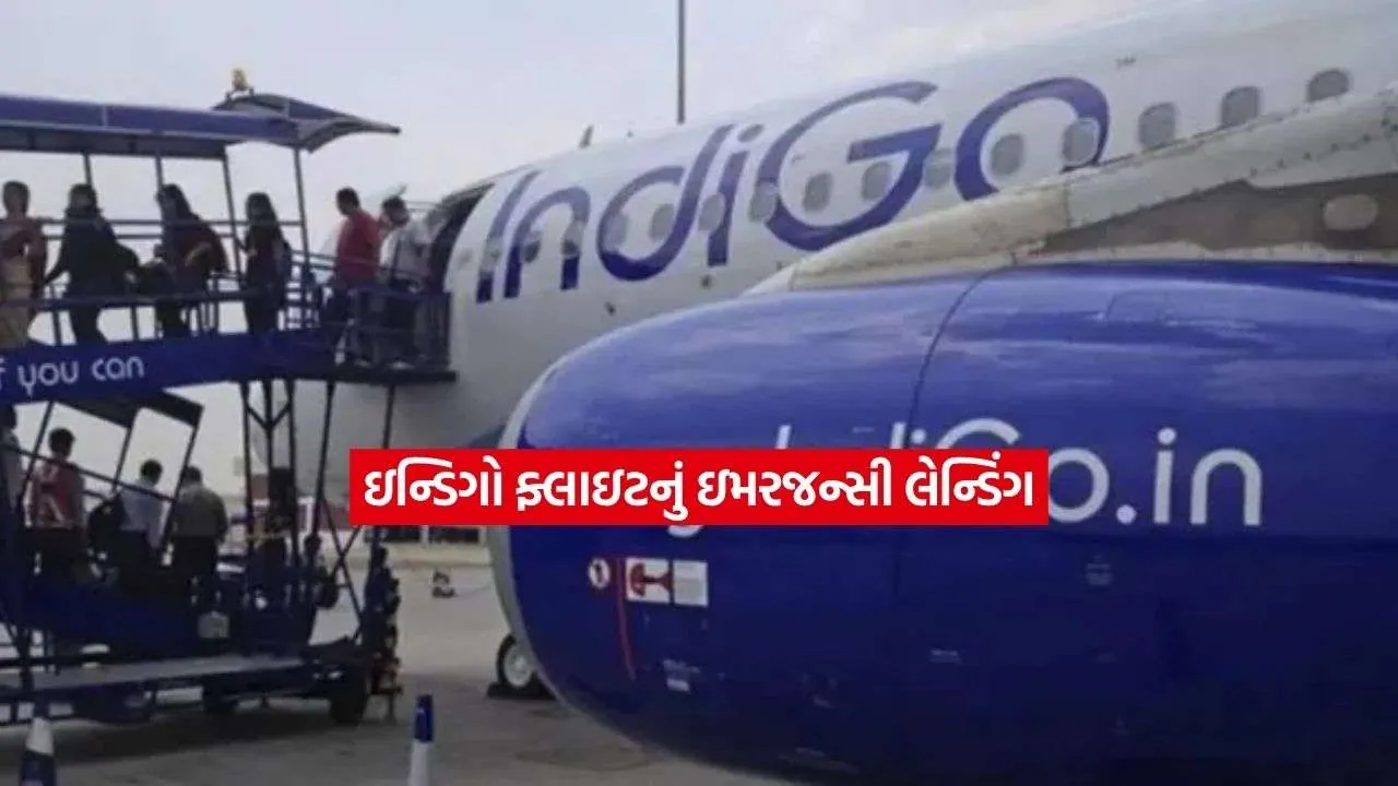 indigo.jpg