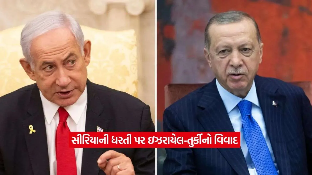 turkey2.jpg
