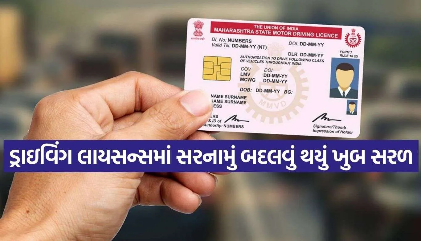 Driving Licence