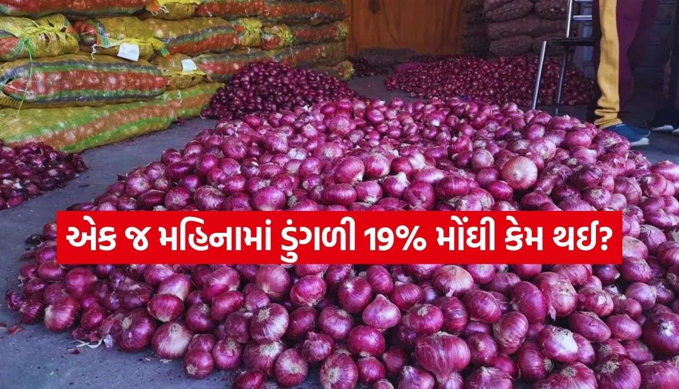 Onion Price