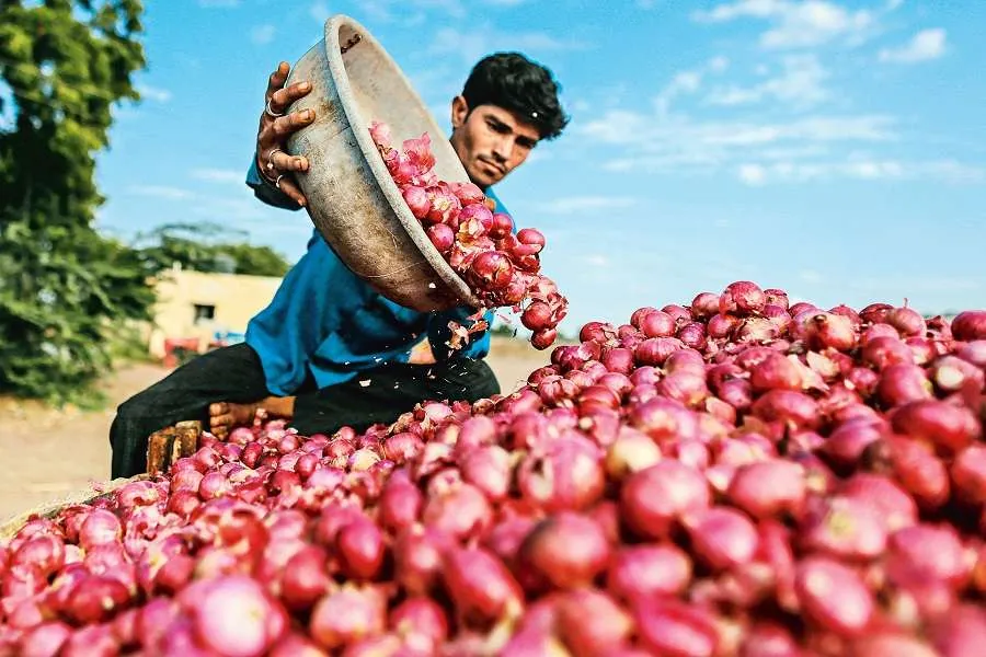 Onion Price