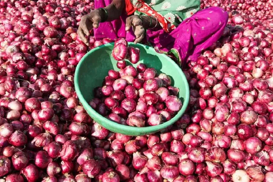 Onion Price