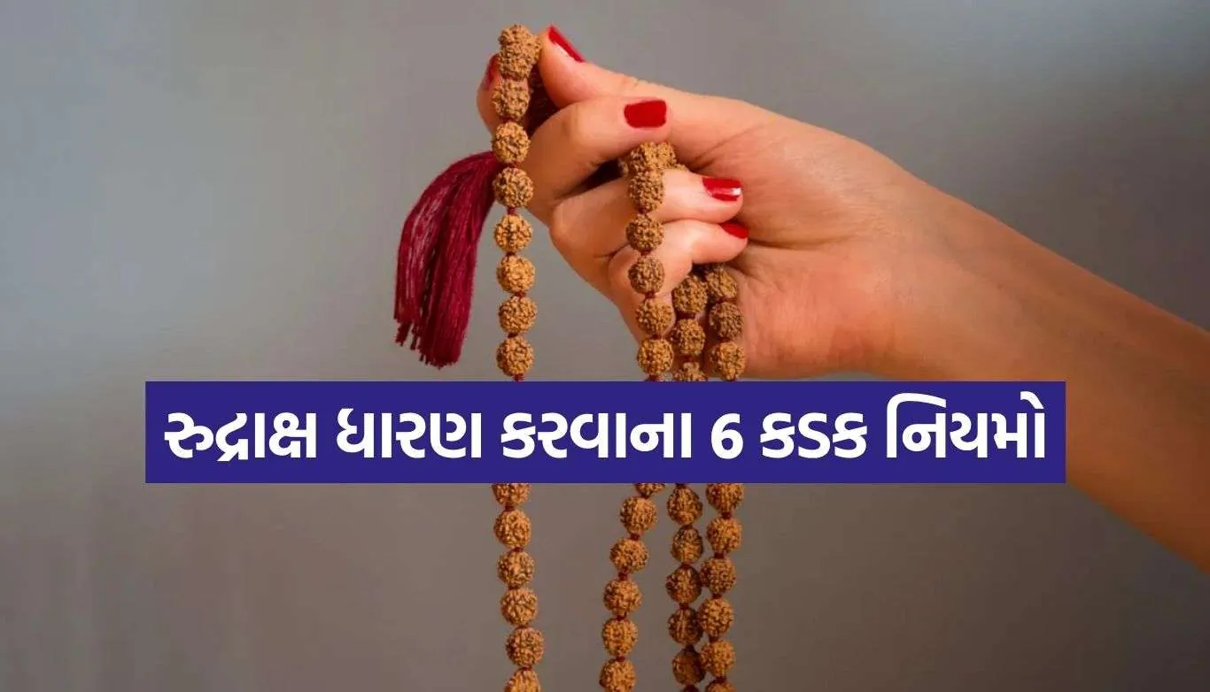Rudraksha Rules