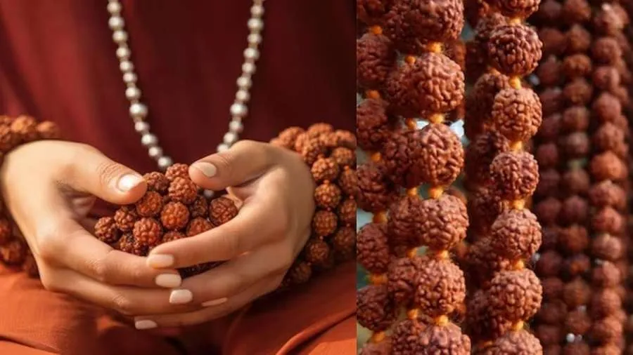 Rudraksha Rules