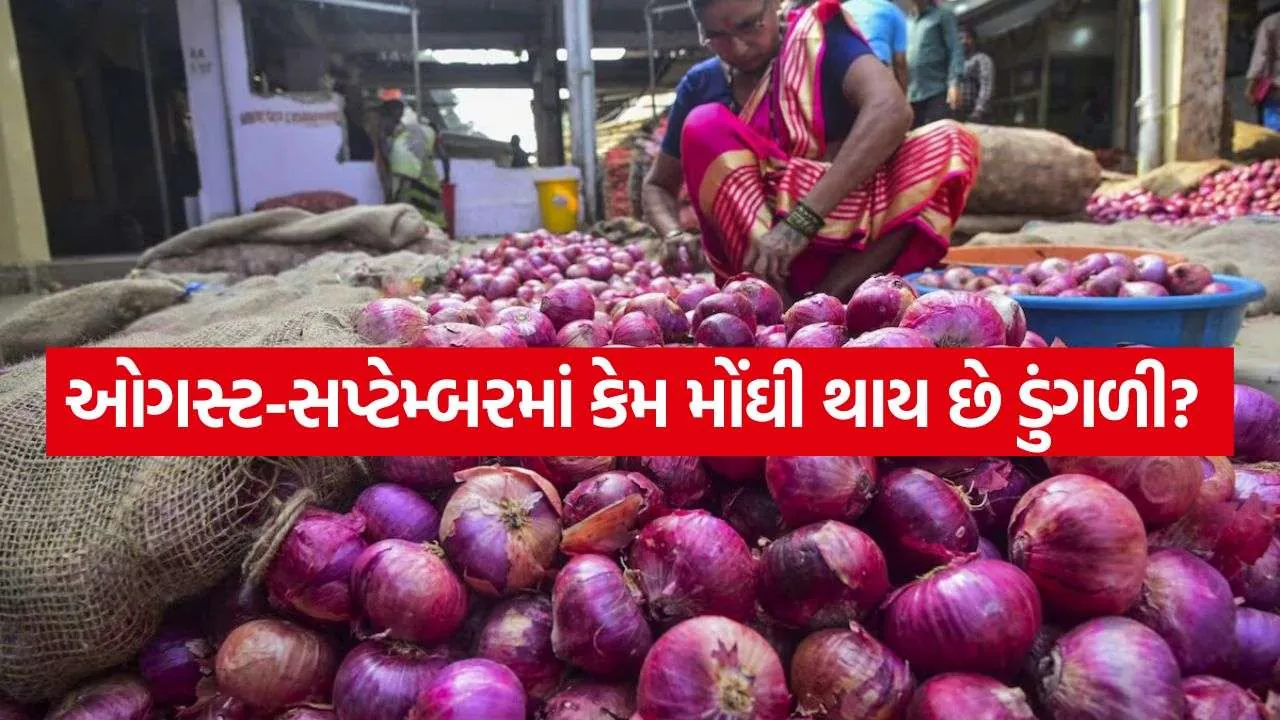 Onion Price