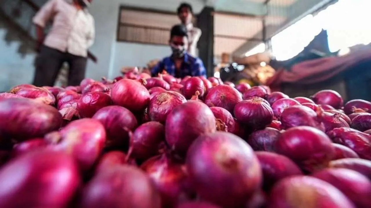 ડુંગળીના ભાવ વધારા વચ્ચે સરકારનું નિવેદન 2 Onion Price