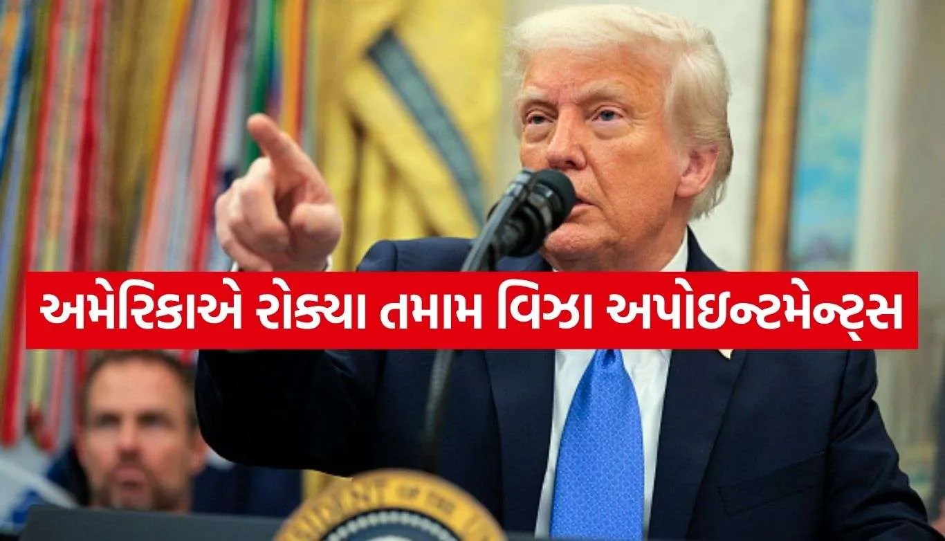 US Visa