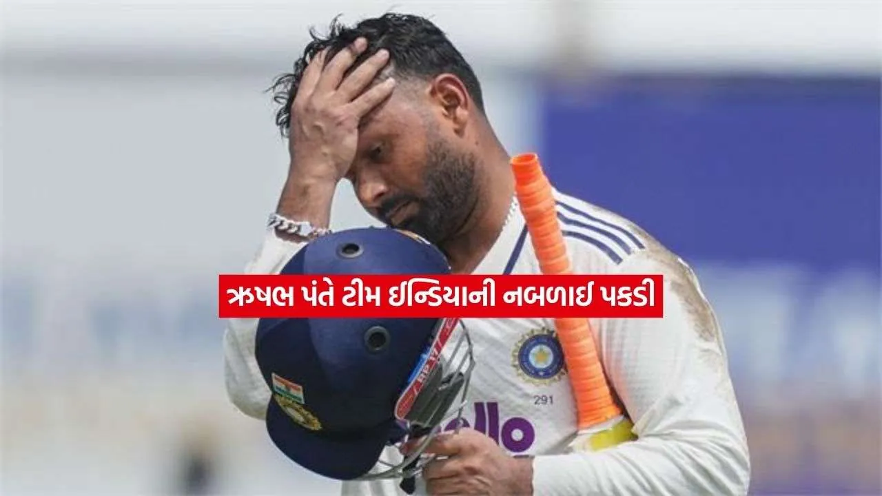 risab pant.jpg