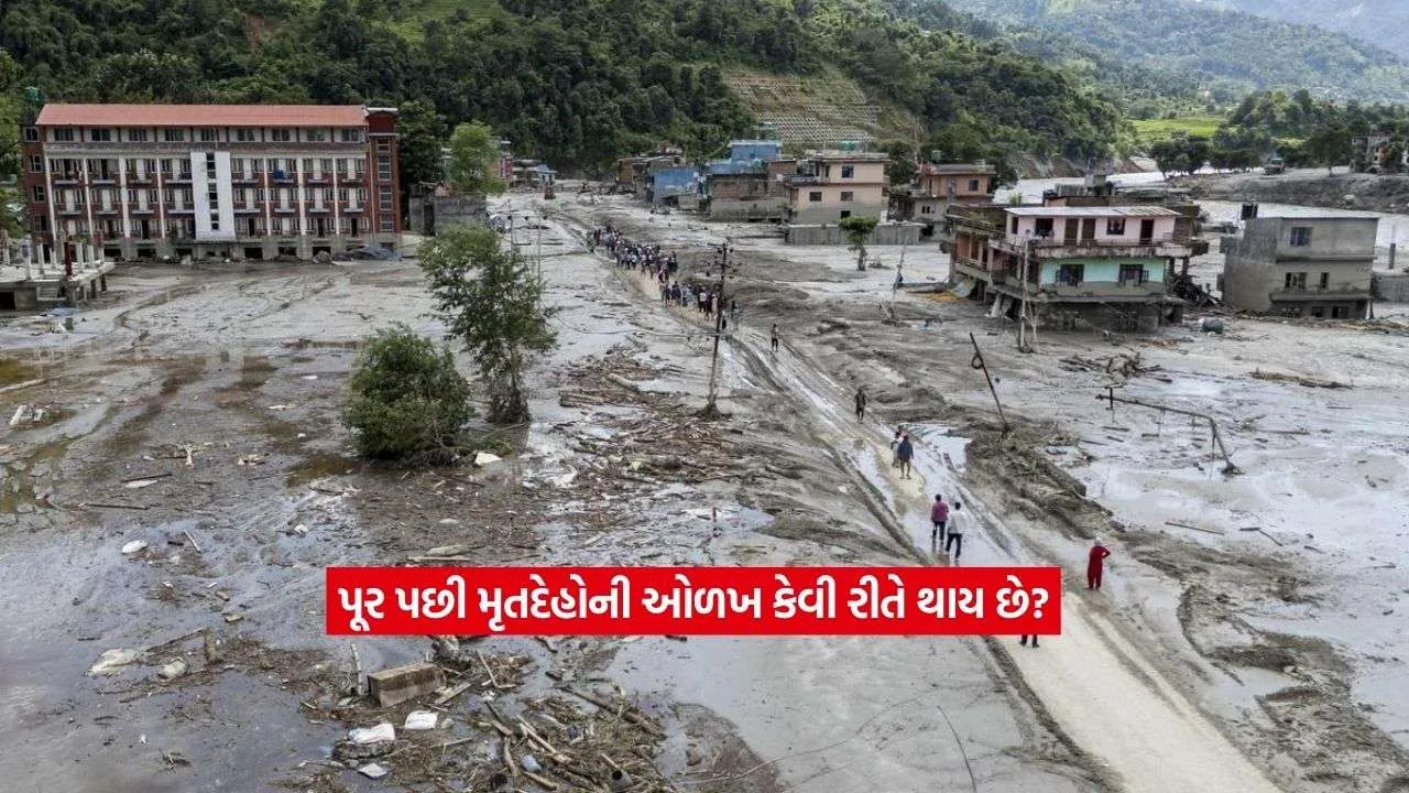 nepal2.jpg
