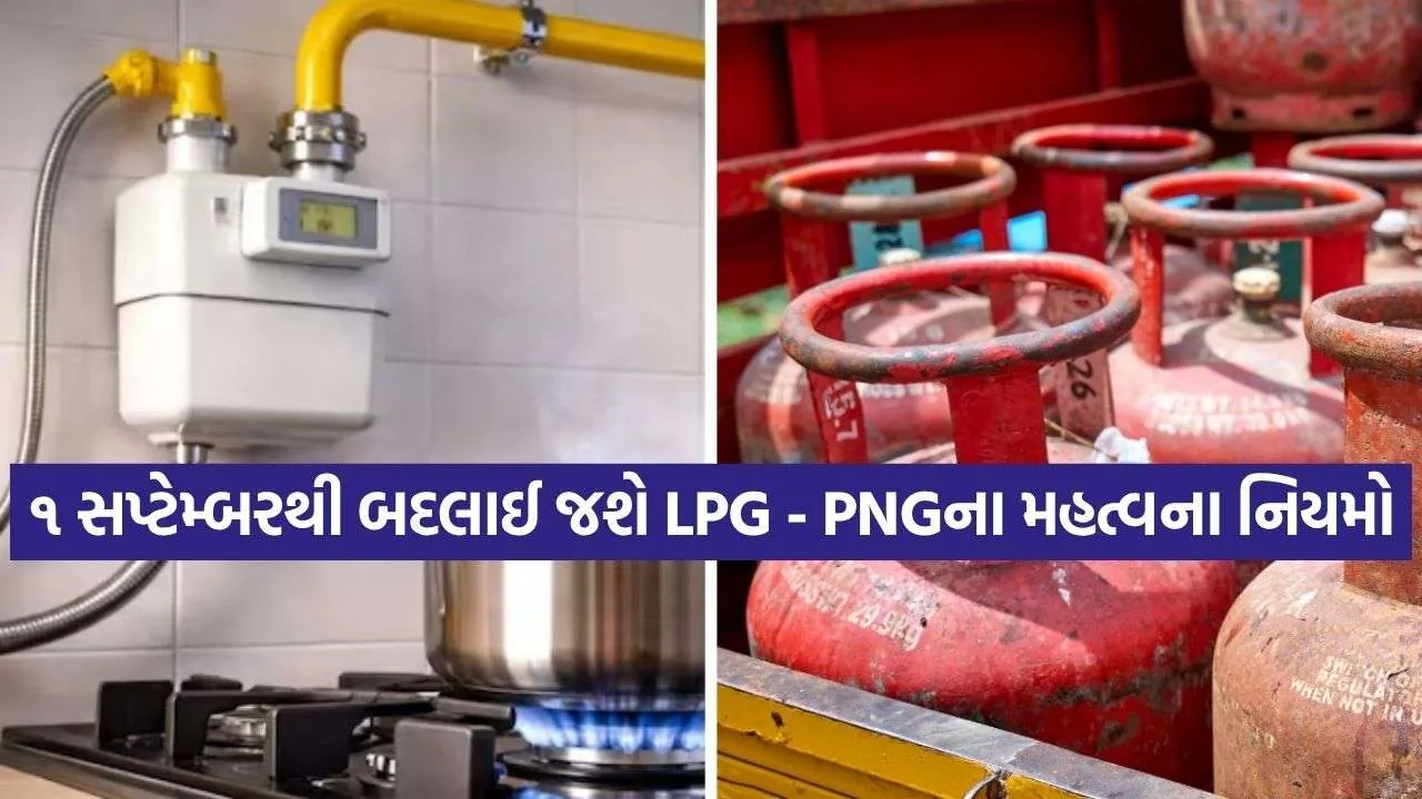 LPG PNG Rules