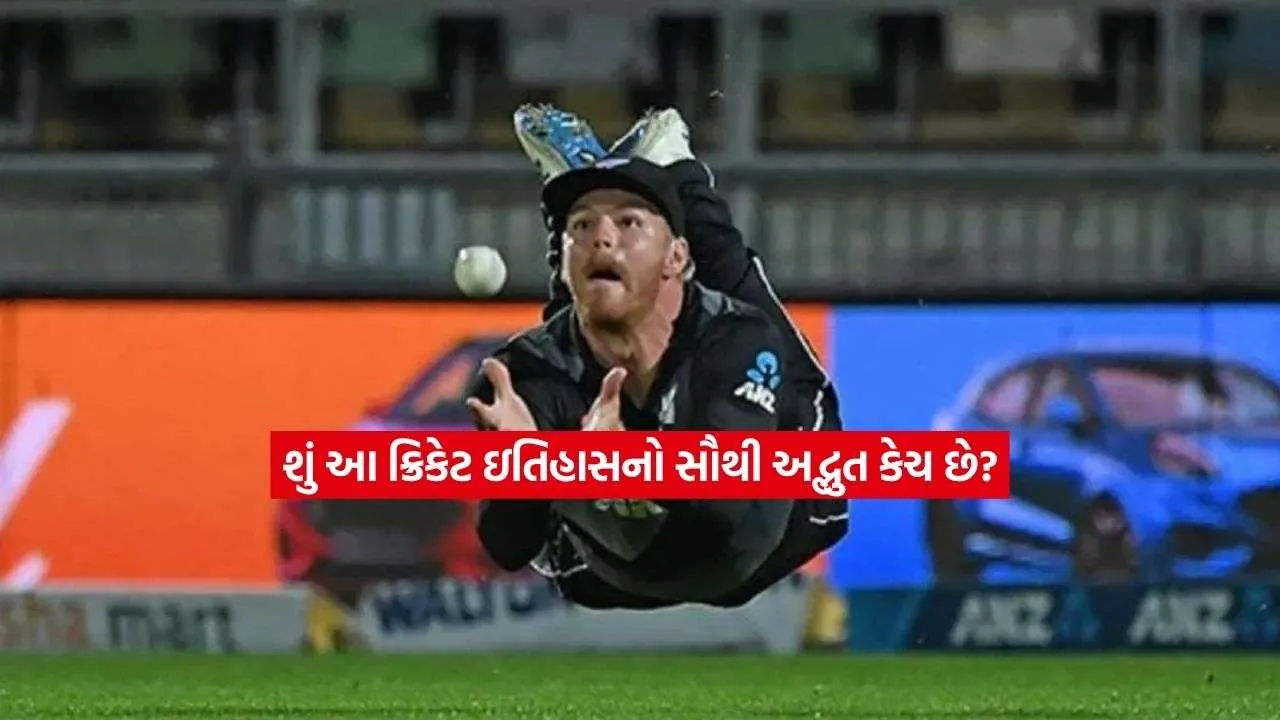 catch.jpg