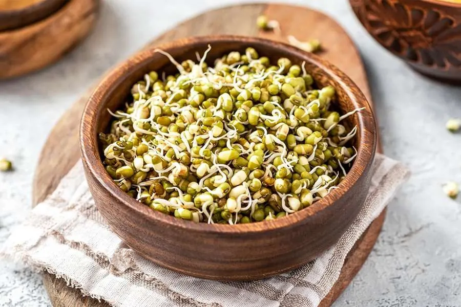 Sprouted beans.jpg