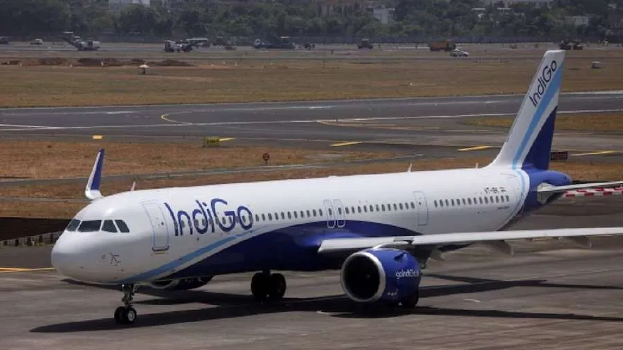 indigo.jpg