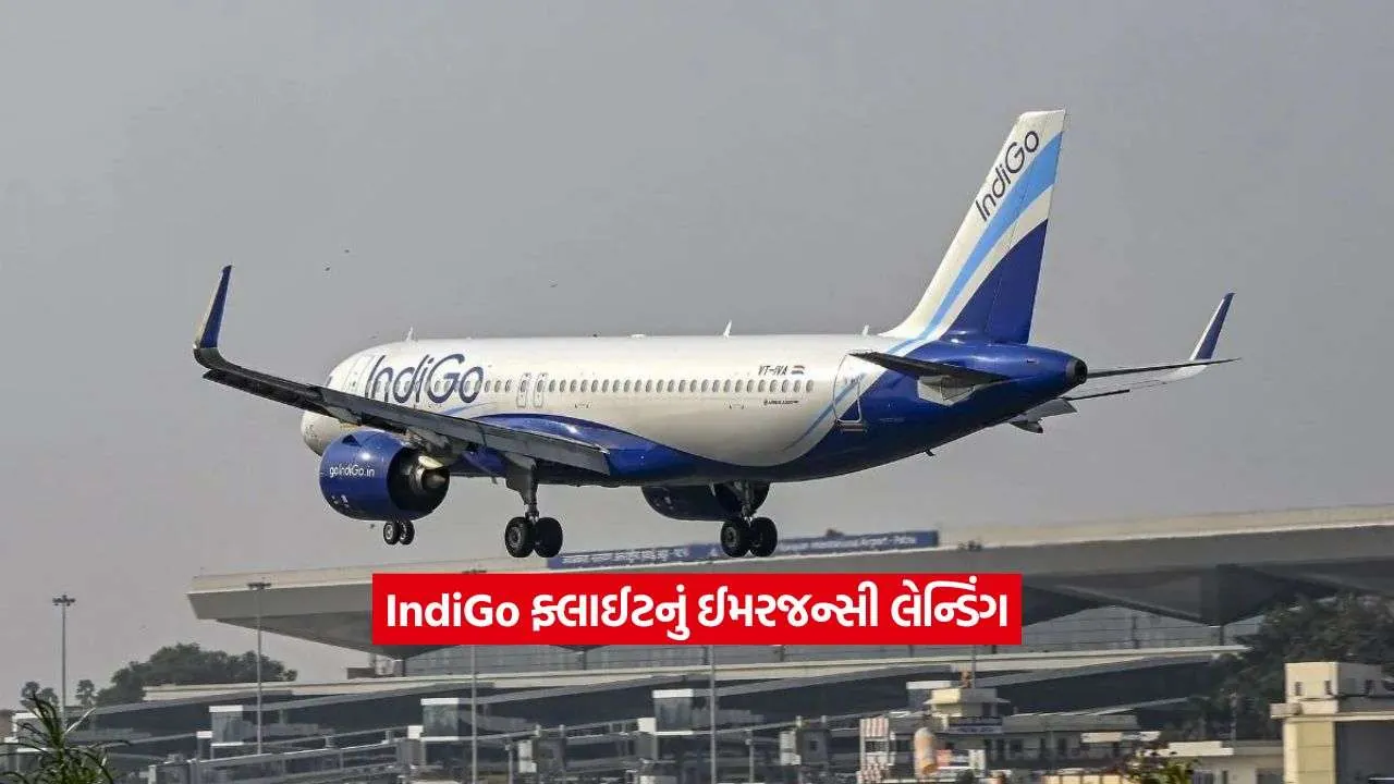 indigo3.jpg
