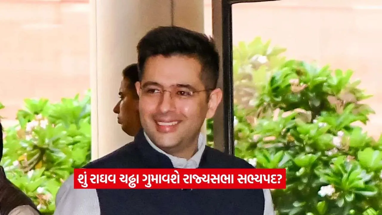 raghav chhada12.jpg
