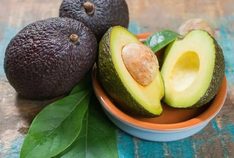 avocado.jpg