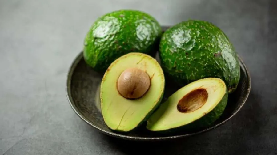 avocado0.jpg