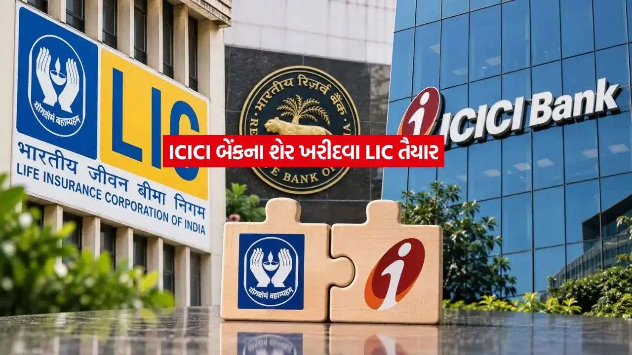 lic2.jpg