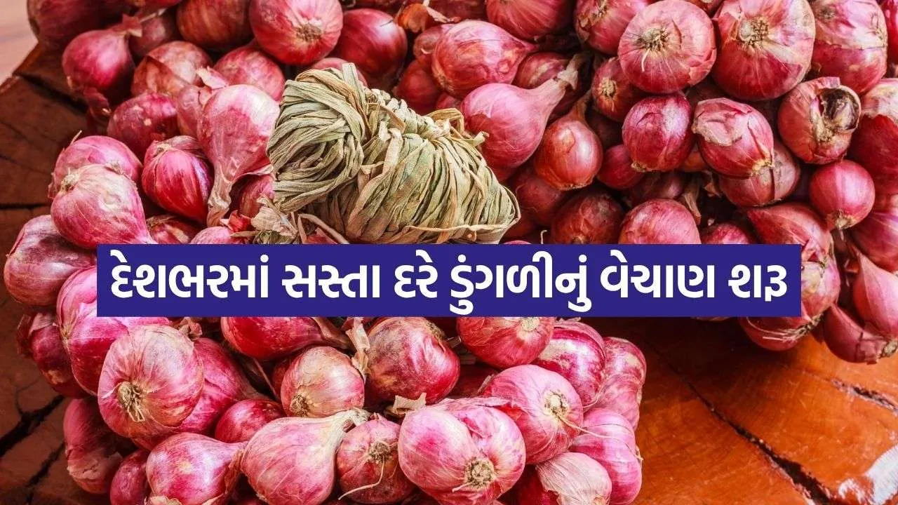Onion Price 0609.jpg