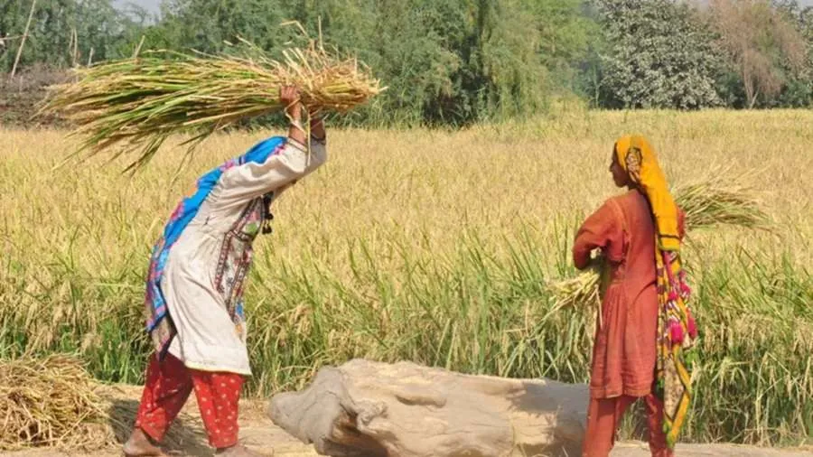 pakistan1.jpg