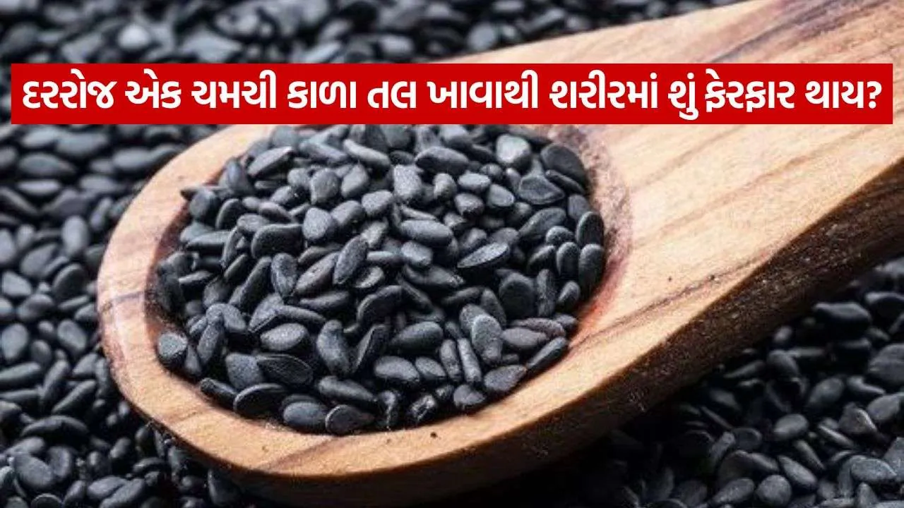 Sesame Seeds