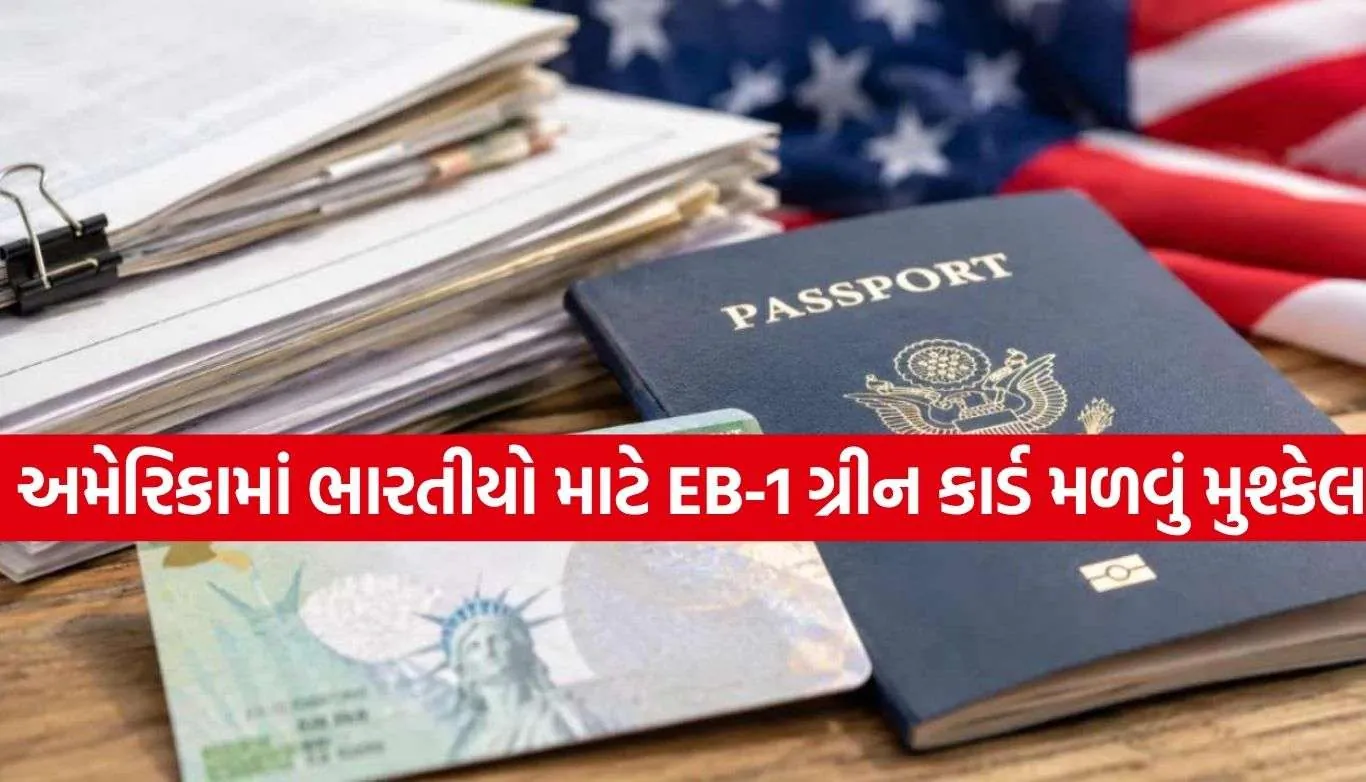 US Visa