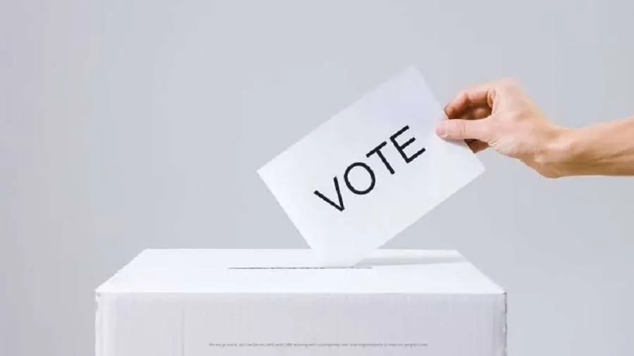 Indian American Vote