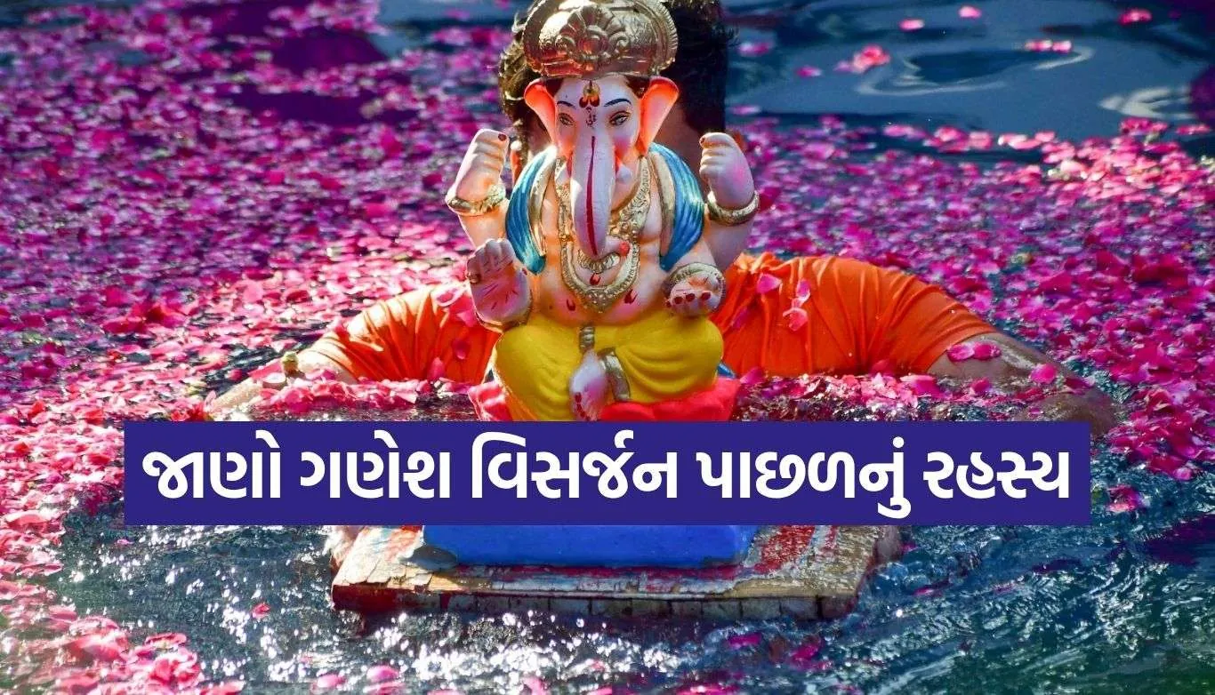 Ganesh Visarjan