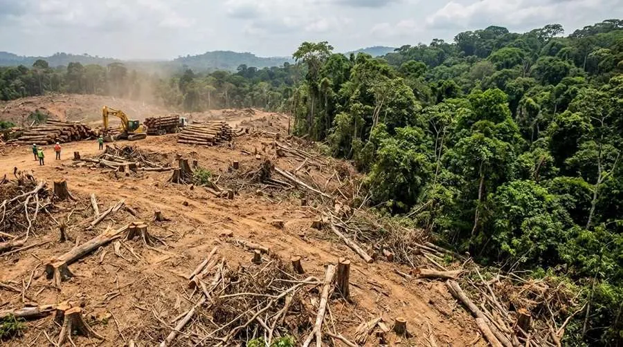 Brazil.jpg