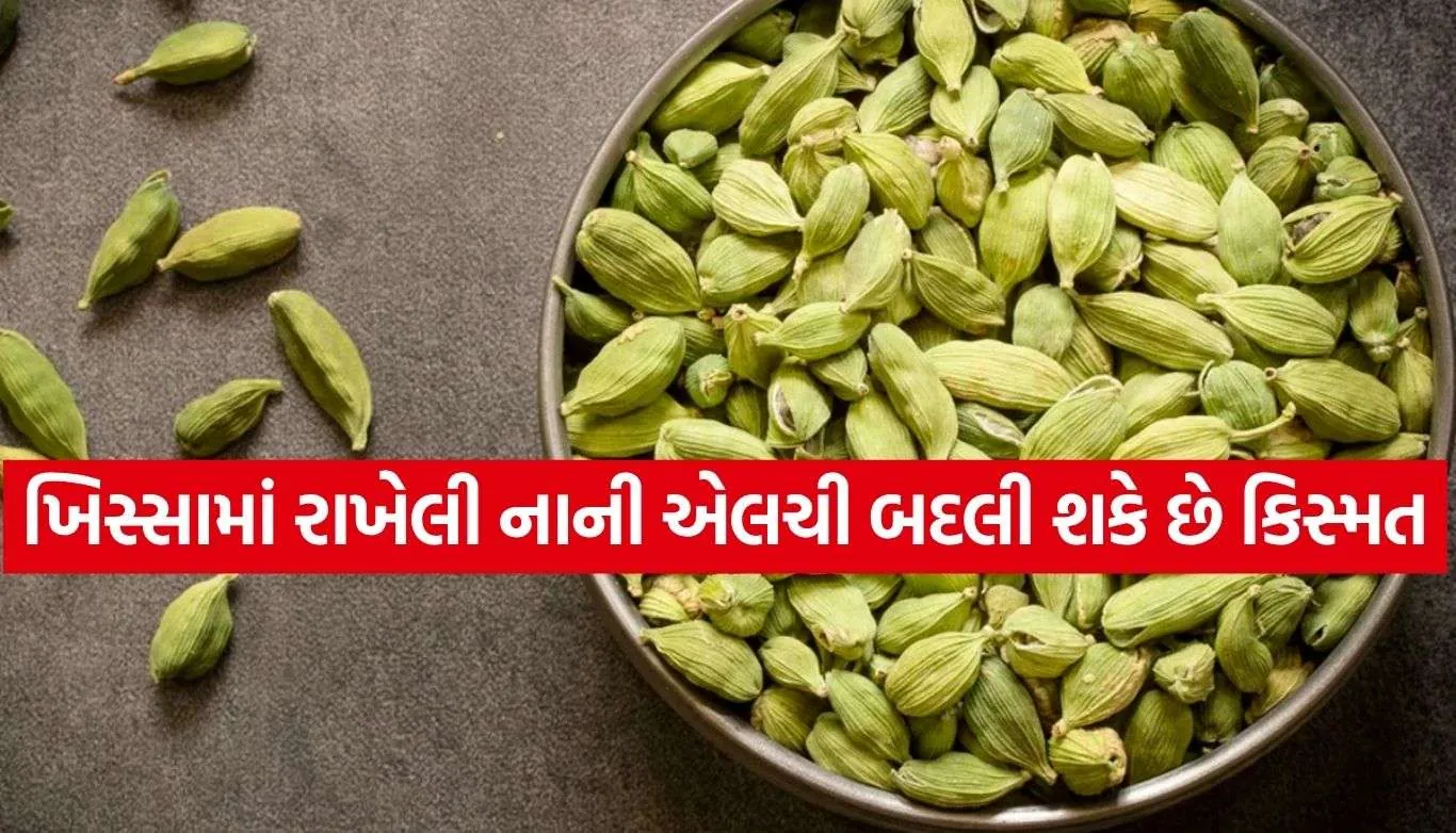 Cardamom Remedies