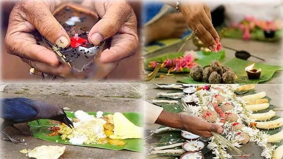 પૂર્વજોના શ્રાદ્ધની તારીખ ભૂલી ગયા છો, તો શું કરવું? જાણો કયા દિવસે કરવું પિતૃઓ માટે તર્પણ અને પિંડ દાન 2 Shraddha Rituals