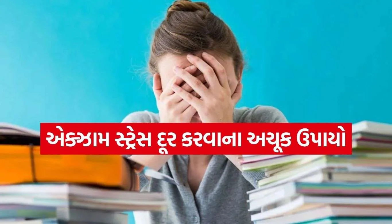 Study Plan