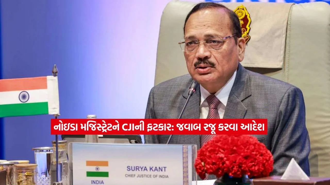 cji2.jpg