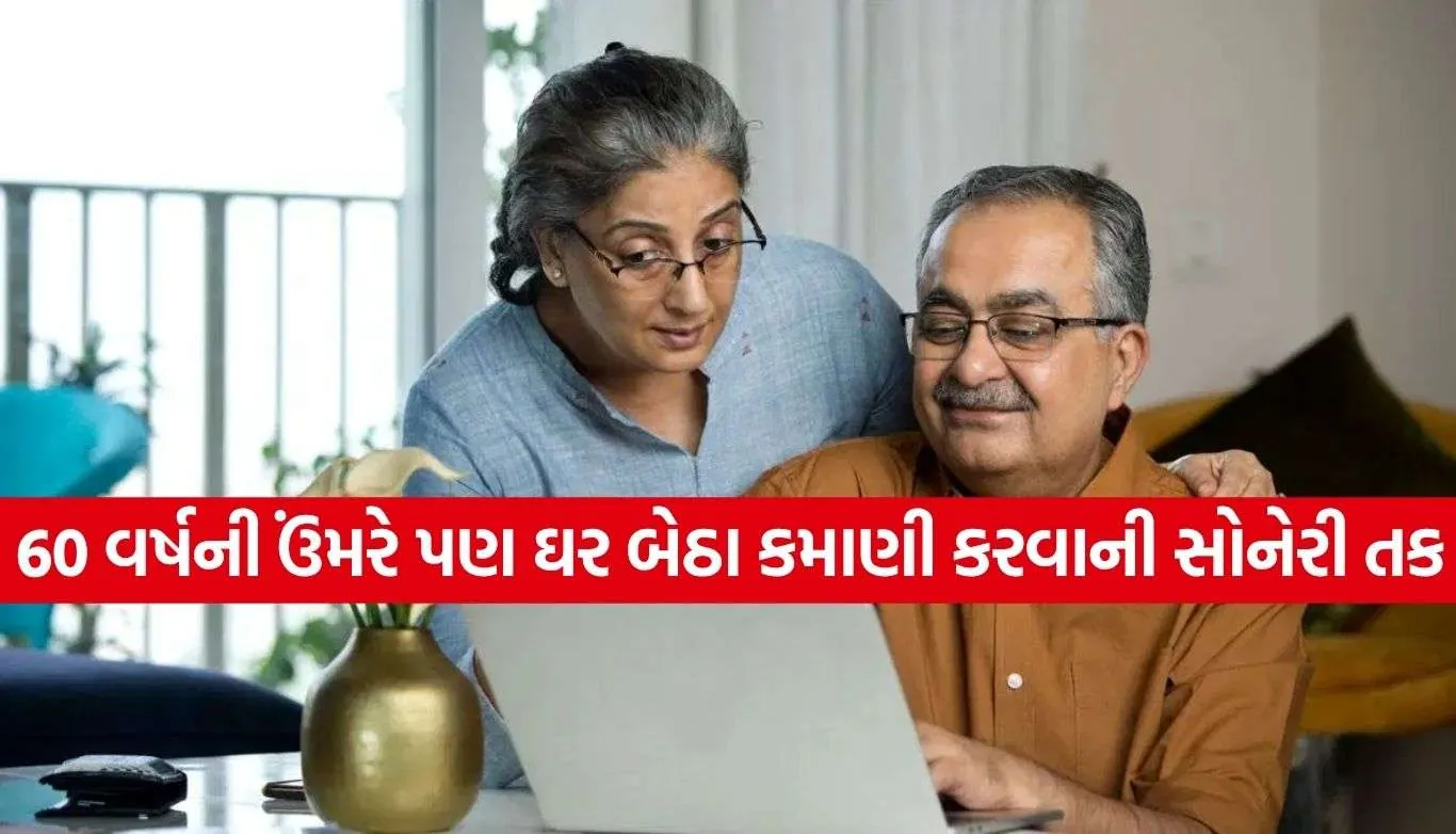 Retirement Career Options