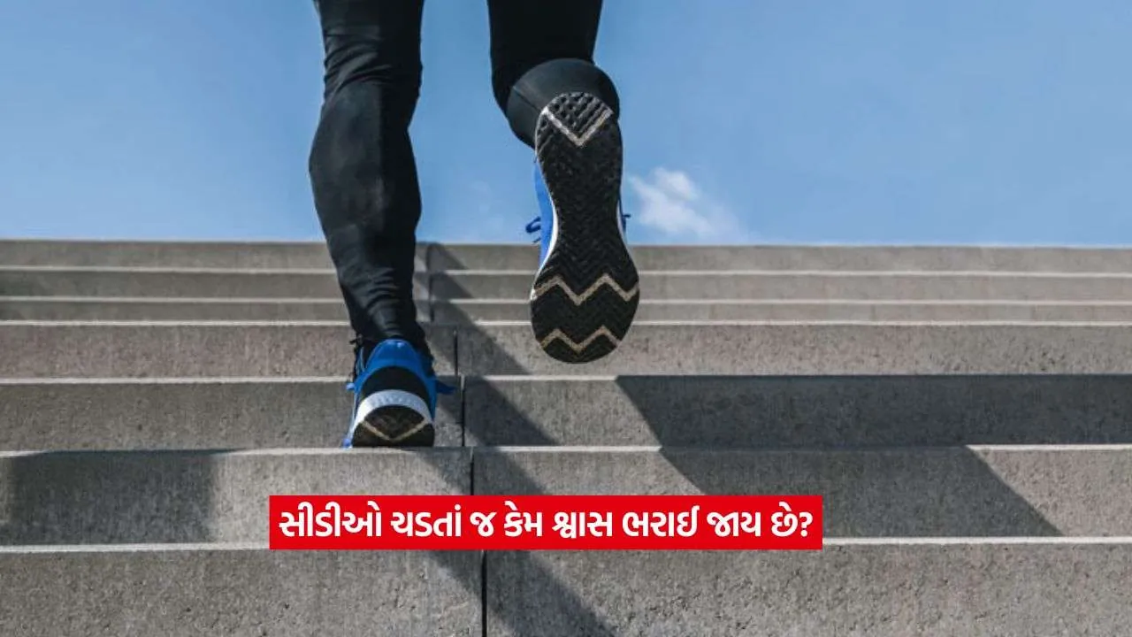 walk2.jpg