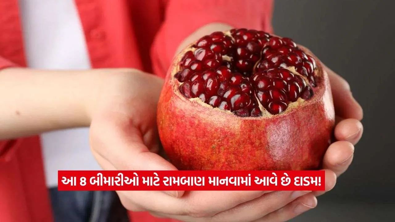 pomegranate2.jpg