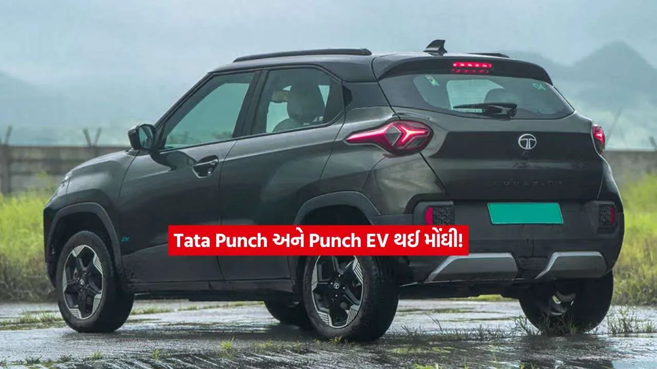tata pauch ev2.jpg