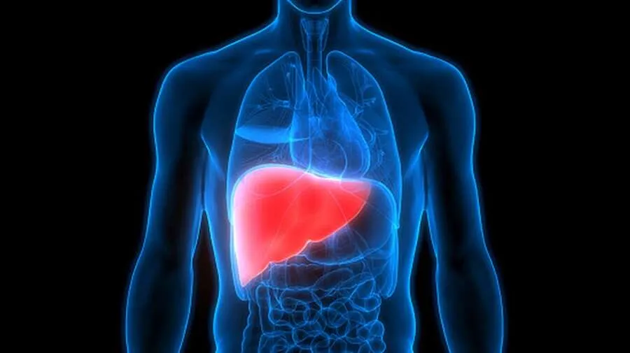 Fatty liver.jpg