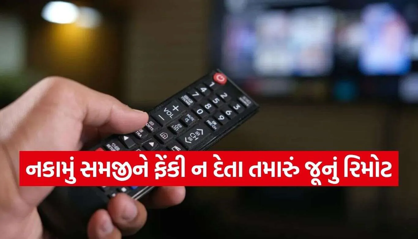 Old TV Remote