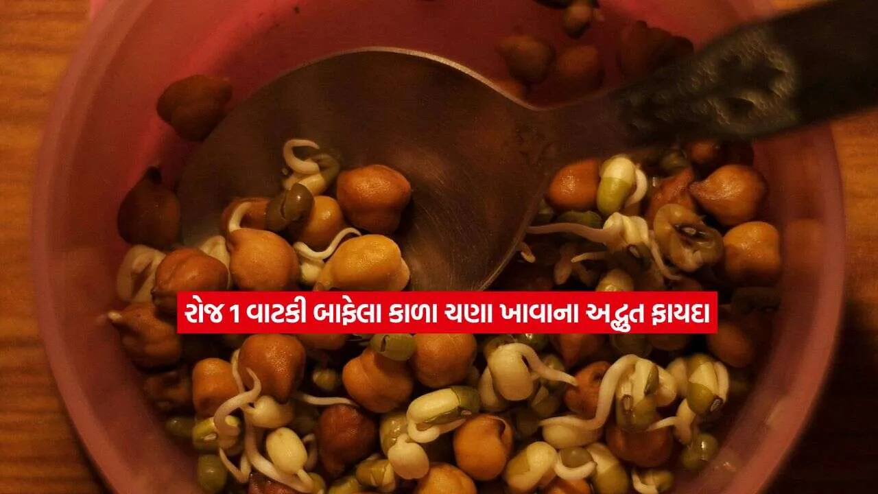 ફિટનેસ માટે સુપરફૂડ! દરરોજ બાફેલા કાળા ચણા ખાશો તો શરીર રહેશે રોગમુક્ત, જાણો યોગ્ય રીત 1 chanA2.jpg