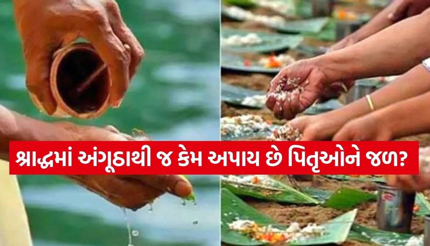 Pitru Paksha