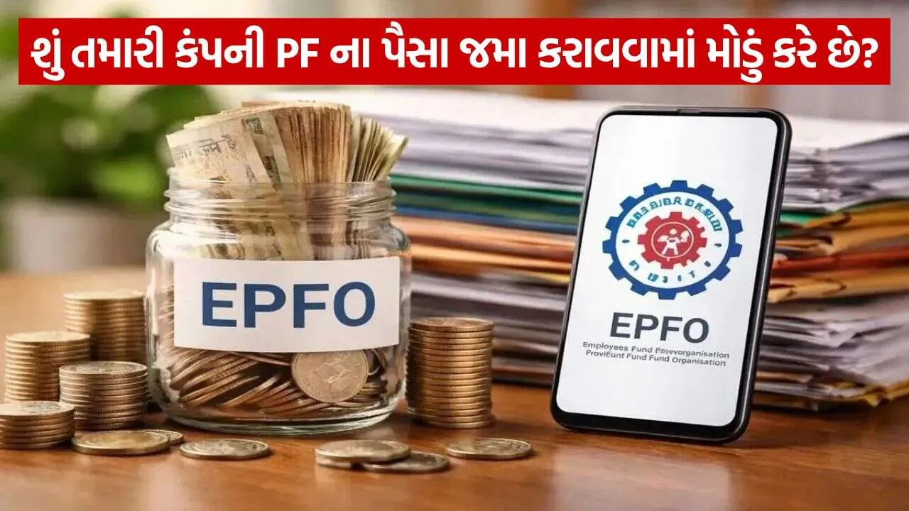 EPFO 1709.jpg