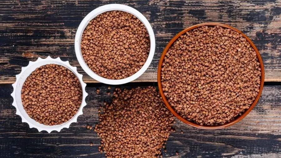 હલીમના બીજ આહારમાં કેવી રીતે સામેલ કરવા? જાણો યોગ્ય રીત અને સંભવિત ફાયદા 2 halim Copy.jpg