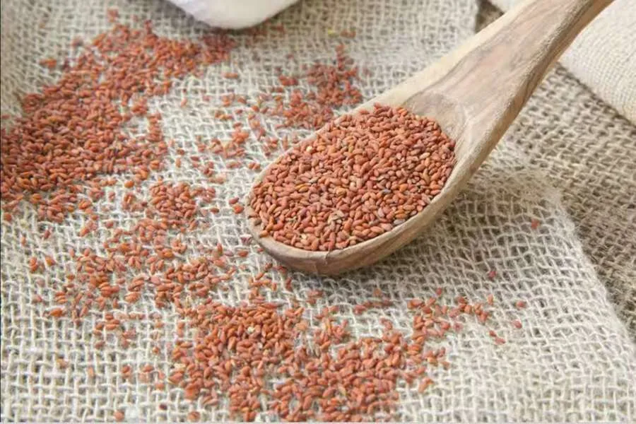 હલીમના બીજ આહારમાં કેવી રીતે સામેલ કરવા? જાણો યોગ્ય રીત અને સંભવિત ફાયદા 3 halim0 Copy.jpg