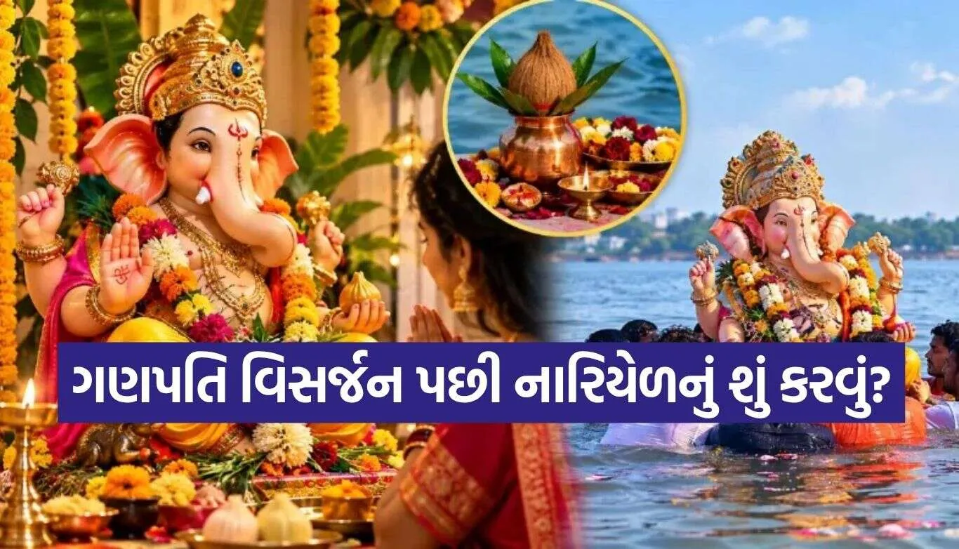 Ganpati Visarjan