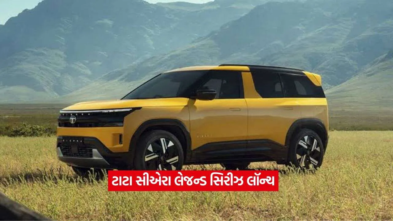 tata cae2.jpg