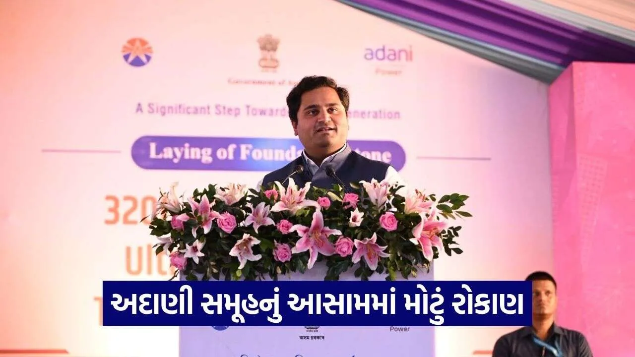 Adani Power 2009.jpg