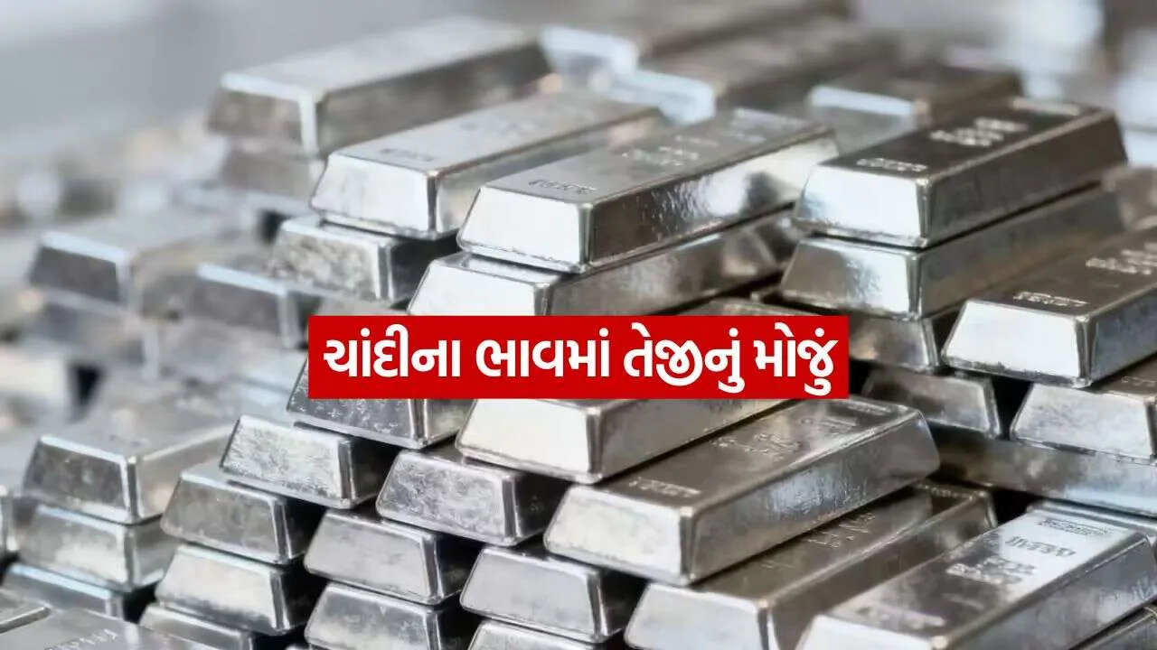 silver 2009.jpg